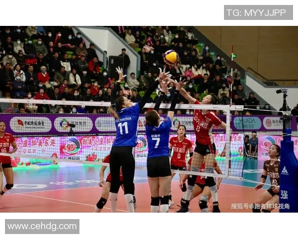 赛后分析：上海排球队与杭州排球队的耐力较量与战术对决