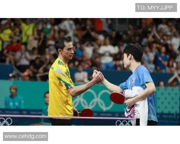 赛后分析：北京乒乓球队与杭州乒乓球队的实力对决与战术探讨