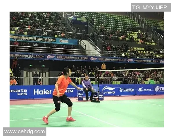 赛后分析：北京羽毛球队与成都羽毛球队实力对比与战术探讨