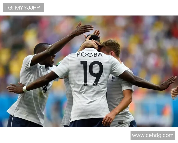 足球明星发型与动物奇妙撞脸大比拼揭秘趣味造型背后的故事