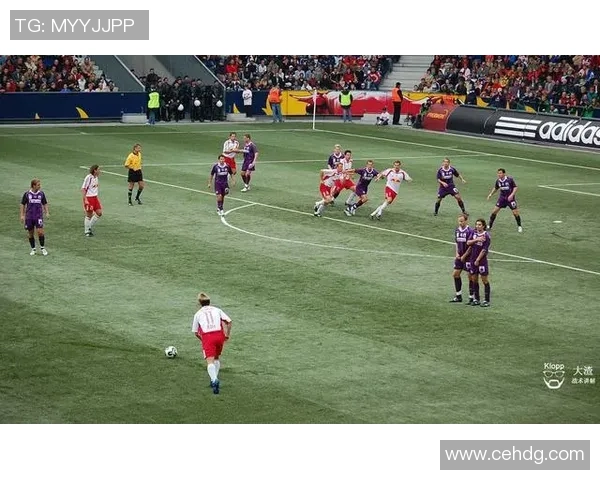 足球明星各自踢的位置分析图表展示及其战术意义解读