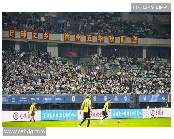 足球明星受伤瞬间再现引发热议球迷模仿场面趣味横生