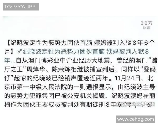 足球明星坦言逃税行为引发公众热议与法律关注