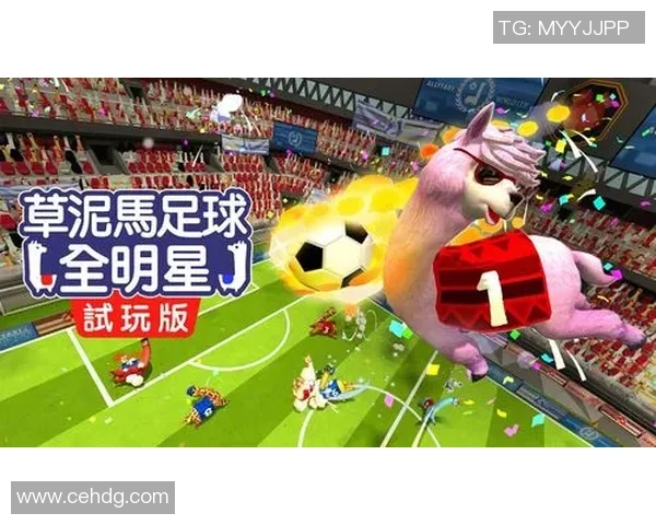 足球明星的搞笑商店让你笑不停的奇趣商品大集合